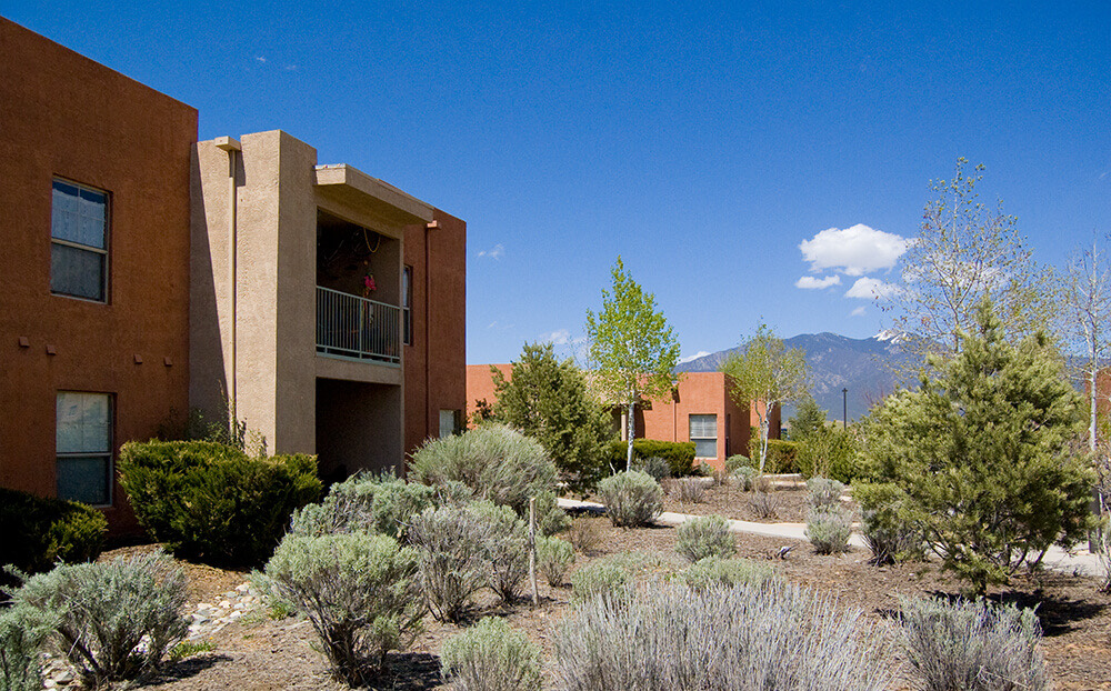 Warm stucco apartment homes at Tierra Montosa facing a courtyard of sage and young trees